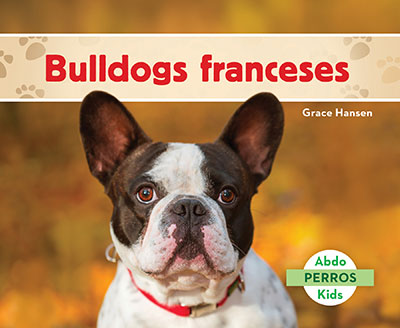 Bulldogs franceses