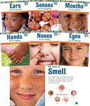 All About Your Senses Series