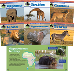 African Animals Series