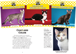 Cats Set 6