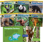 Asian Animals Series