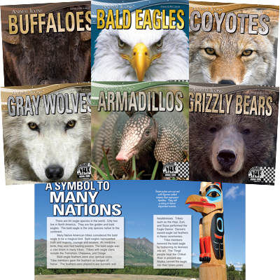 Animal Icons