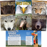 Animal Icons Series
